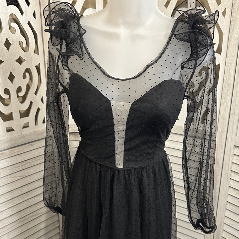 Sheer Polka Dot Black Mesh Midi Dress